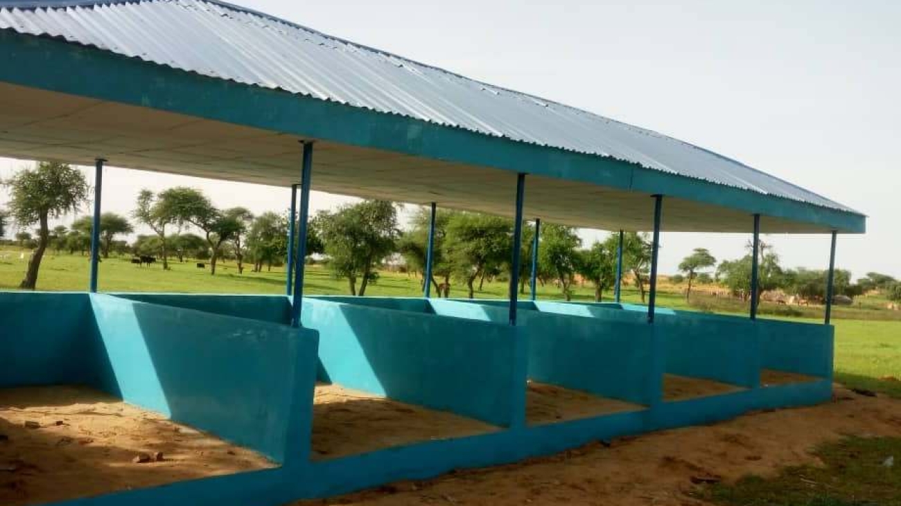 Constructed Market Shade in Dilala