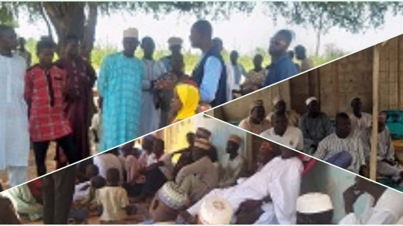 ITNs campaign to eradicate Malaria in Yobe State