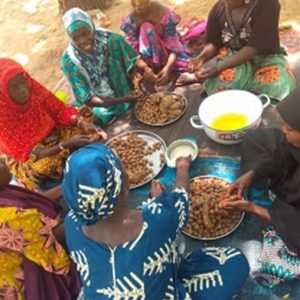 (OVERVIEW OF SURVIVORS LEARNING HOW TO EXTRACT OIL FROM GROUNDNUT)