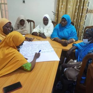 Group Work During Capacity Buliding training in Potiskum