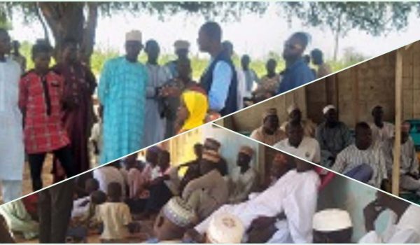 ITNs campaign to eradicate Malaria in Yobe State